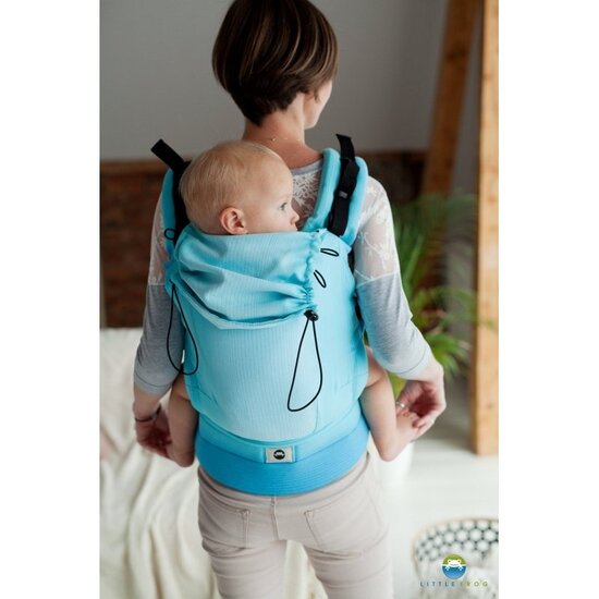 Little Frog  Little Frog Babycarrier  -  Euclase
