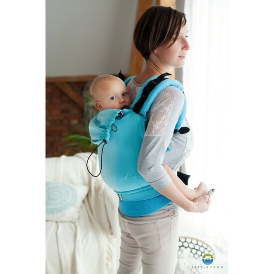 Little Frog  Little Frog Babycarrier  -  Euclase