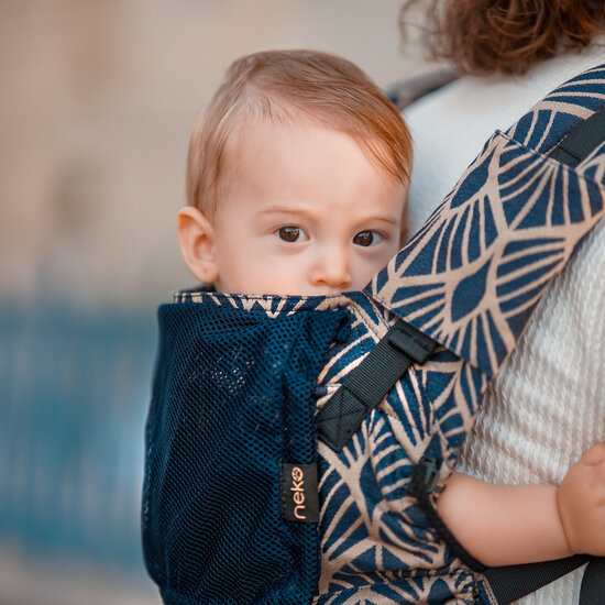 Neko Neko Switch Air Baby - Kidonya Elegance