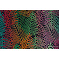 LennyLamb LennyPreschool - Rainforest Diverse
