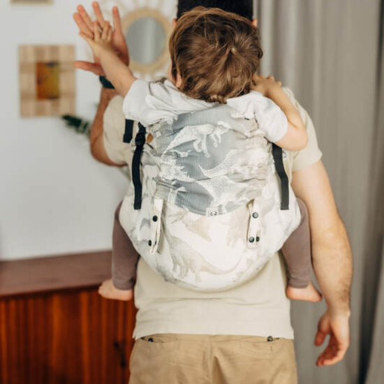 LennyLamb LennyLamb  Onbuhimo PRO Preschool - Jurassic Ice Desert