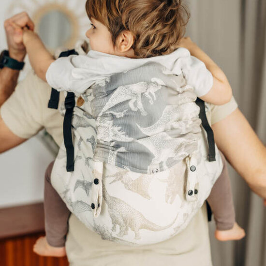 LennyLamb LennyLamb  Onbuhimo PRO Preschool - Jurassic Ice Desert