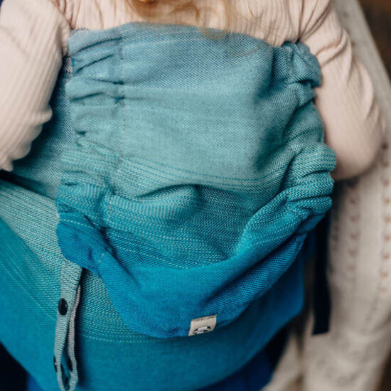 LennyLamb LennyHybrid Preschool - Airglow