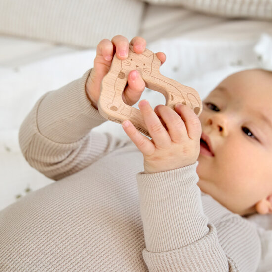 Lässig Lässig Houten bijtringen- Little Mateys (set van 4)