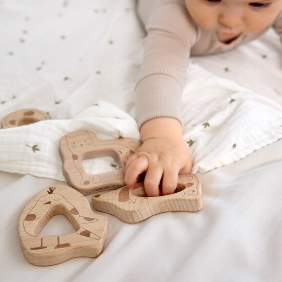 Lässig Lässig Houten bijtringen- Little Mateys (set van 4)