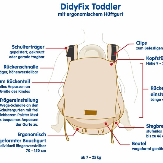 Didymos DidyFix Toddler  - Blossom