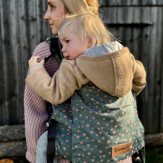 Didymos DidyFix Toddler  - Hope