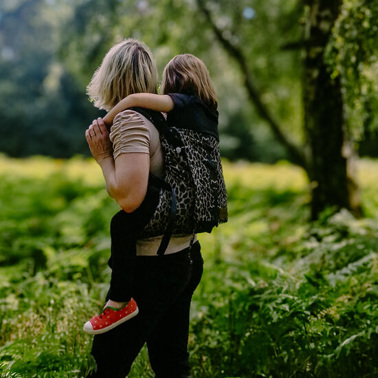 Didymos DidyFix Toddler  - Leo