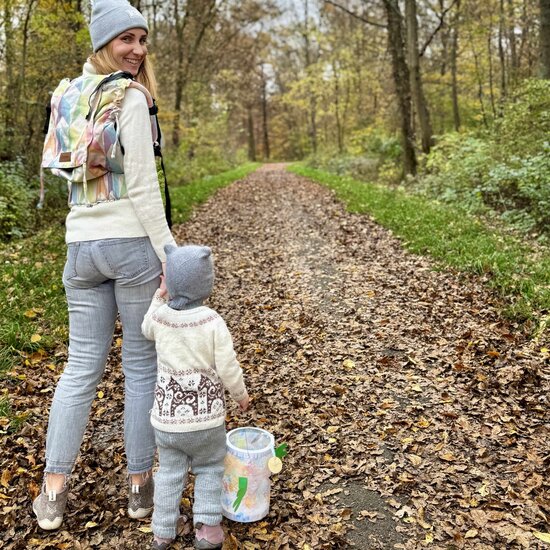 Didymos DidyFix Toddler  - Zephyr