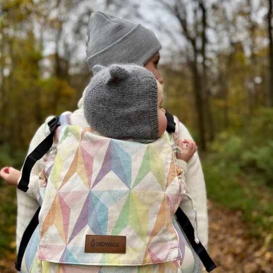 Didymos DidyFix Toddler  - Zephyr