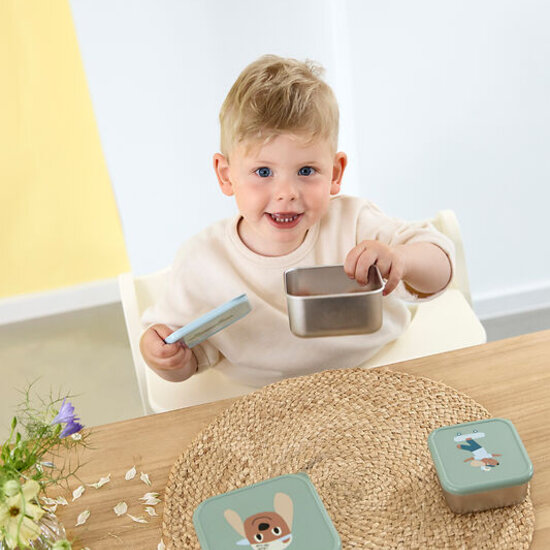 Lässig Lässig RVS snackboxes 3-delig  - Tiny Team Dog