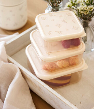 Lässig RVS snackboxes 3-delig  - Miracle of Nature