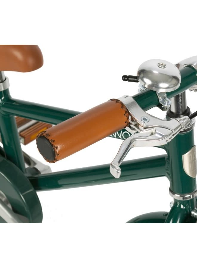 Classic bike green
