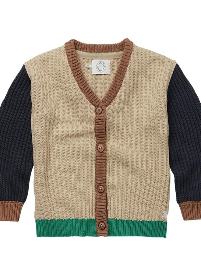 Cardigan knit colourblock