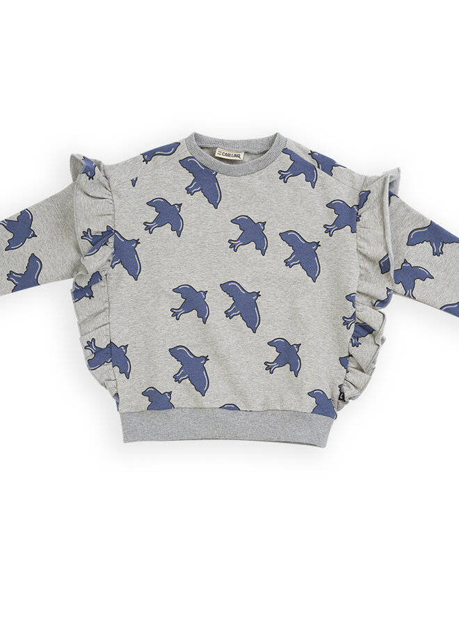 Free like a bird - sweater ruffled