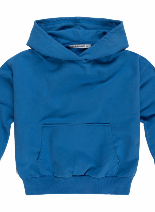 Hoody Skydiver