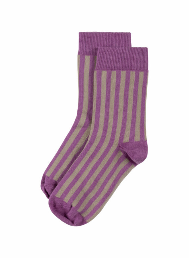 Sock Stripe Violet Mushroom