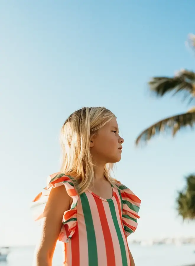 Swimsuit ruffle Stripe print