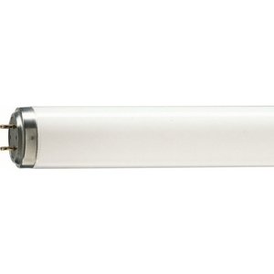 Philips Halley UV-Lamp Blauw 36W