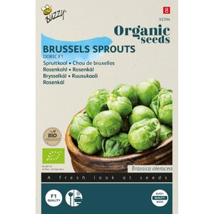 Buzzy Organic Organic Spruitkool Doric F1 (BIO)