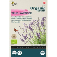 Organic Echte Lavendel (BIO)