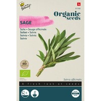 Organic Salie (BIO)