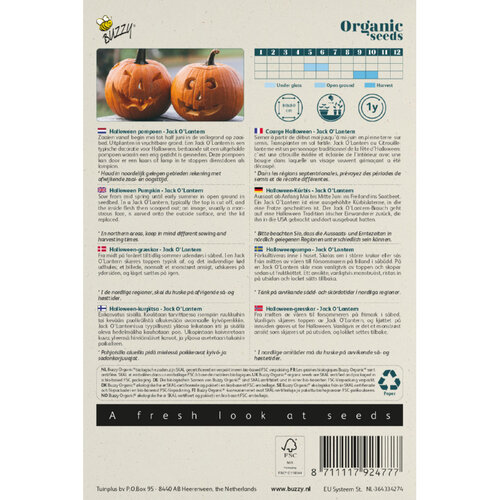 Buzzy Organic Buzzy Organic Pompoen Jack O'Lantern (BIO)