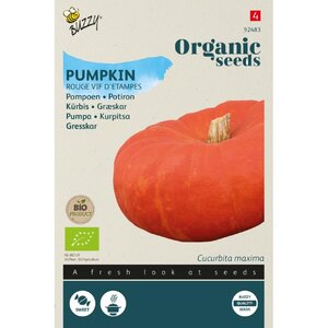 Buzzy Organic Organic Pompoen Rode van Etampes (BIO)