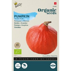Buzzy Organic Pompoen Uchiki Kuri (BIO)