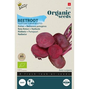 Buzzy Organic Organic Bieten Egyptische Platronde (BIO)