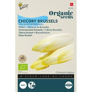 Buzzy Organic Organic Witlof Hollandse Middelvroeg (BIO)