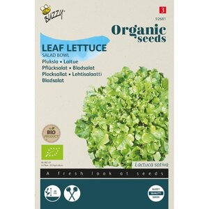 Buzzy Organic Pluksla Salad Bowl - Groen (BIO)