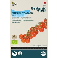 Organic Kerstomaten Cerise (BIO)