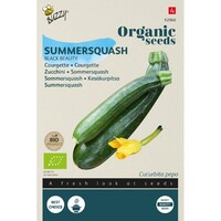 Organic Courgette Black Beauty (BIO)