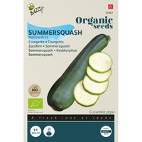 Organic Courgette Partenon F1 (BIO)