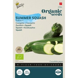 Buzzy Organic Courgette Dunja F1 (BIO)