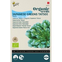 Buzzy Organic Tatsoi (BIO)