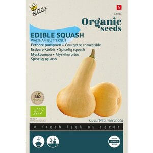 Buzzy Organic Eetbare Pompoen Waltham Butternut (BIO)