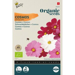 Buzzy Organic Organic Cosmos Sensation (BIO)