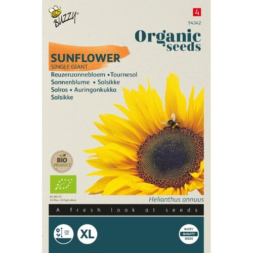 Buzzy Organic Organic Helianthus, Reuzenzonnebloem giganteus (BIO)