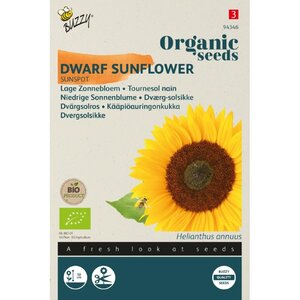 Buzzy Organic Helianthus Lage Zonnebloem Sunspot (BIO)