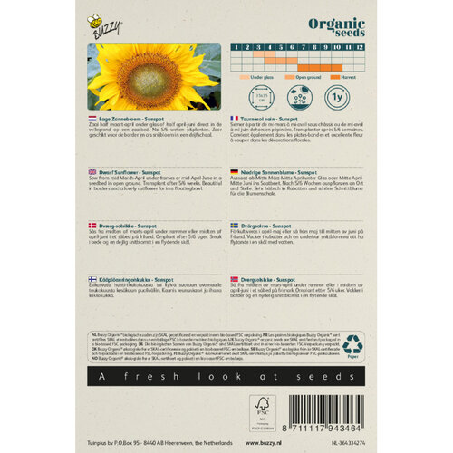 Buzzy Organic Buzzy Organic Helianthus, Lage zonnebloem Sunspot (BIO)