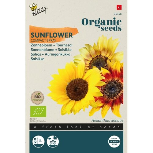 Buzzy Organic Organic Helianthus, Zonnebloem Compact Spray (BIO)