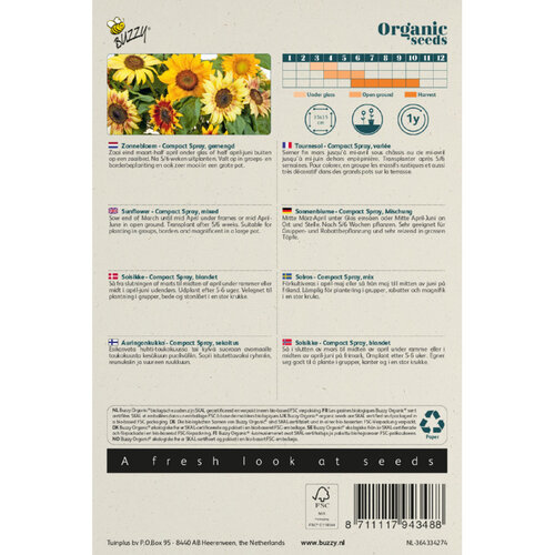 Buzzy Organic Buzzy Organic Helianthus, Zonnebloem Compact Spray (BIO)