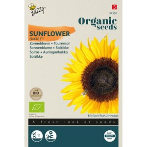 Buzzy Organic Helianthus Zonnebloem Nakdi F1 (BIO)