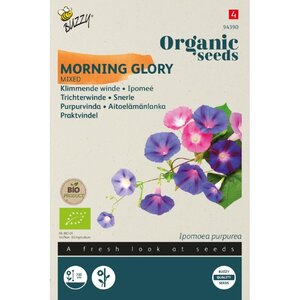 Buzzy Organic Ipomoea Klimmende Winde Gemengd (BIO)