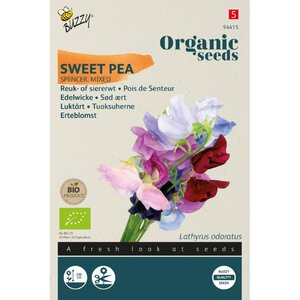 Buzzy Organic Lathyrus Reuk- of Siererwt Spencer (BIO)