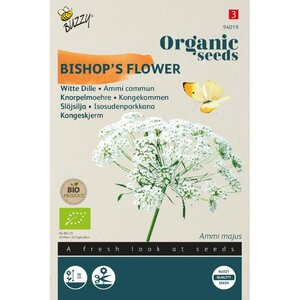 Buzzy Organic Organic Ammi Majus, Witte Dille (BIO)