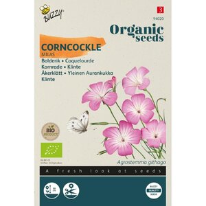 Buzzy Organic Organic Agrostemma Bolderik Milas (BIO)