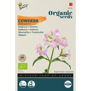 Buzzy Organic Organic Saponaria, Koekruid Pink Beauty (BIO)
